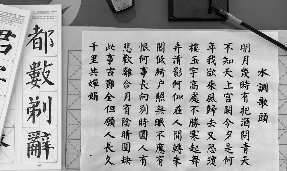 钢笔楷书16个字书法：铸字之美